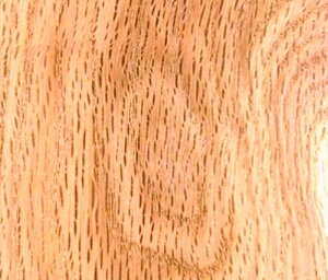 چوب بلوط