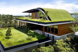 مزایای استفاده از سقف های سبز